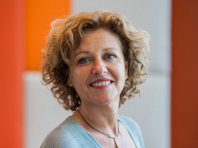 Marleen Huysman awarded Marie Skłodowska-Curie grant to study AI and early careers