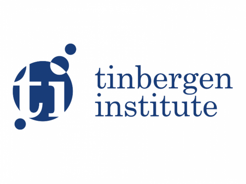 Tinbergen Institute