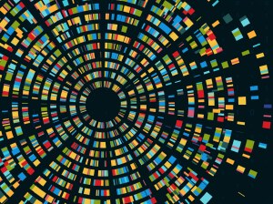 PhD position at the genoeconomics group at Vrije Universiteit