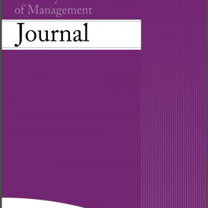 Entrepreneurial orientation and new venture performance: The moderating role of intra- and extraindustry social capital