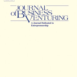 Social Capital of entrepreneurs and small firm performance: A meta-analysis of temporal and contextual contingencies